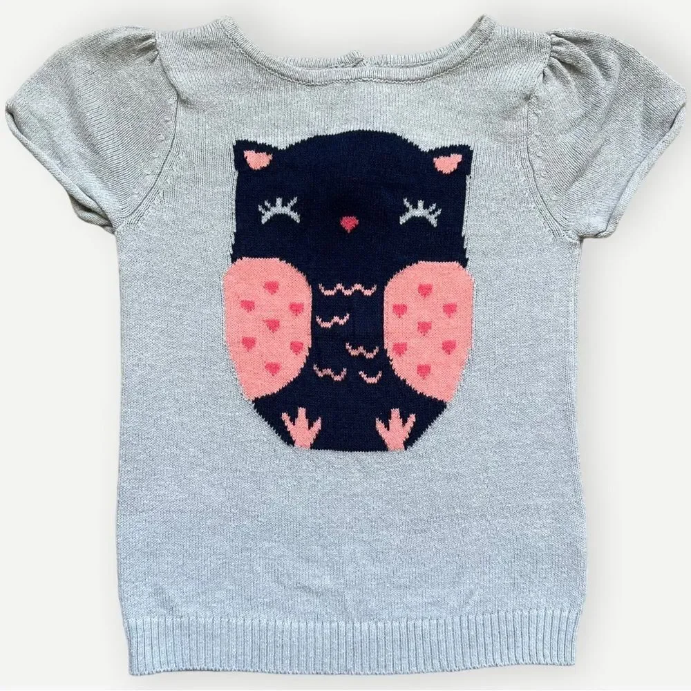 Crazy 8 Girls Toddler Kids Short Sleeve Knit Pullover Owl Sweater. 4. 4T.